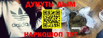 spice Новозыбков