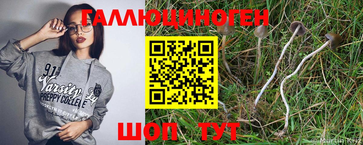 Галлюциногенные грибы мицелий Славянск-на-Кубани